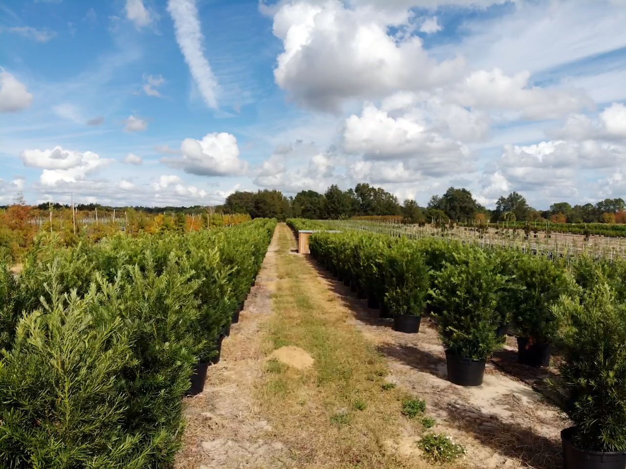 Our Story at Quality Services in Lake Mary, Florida