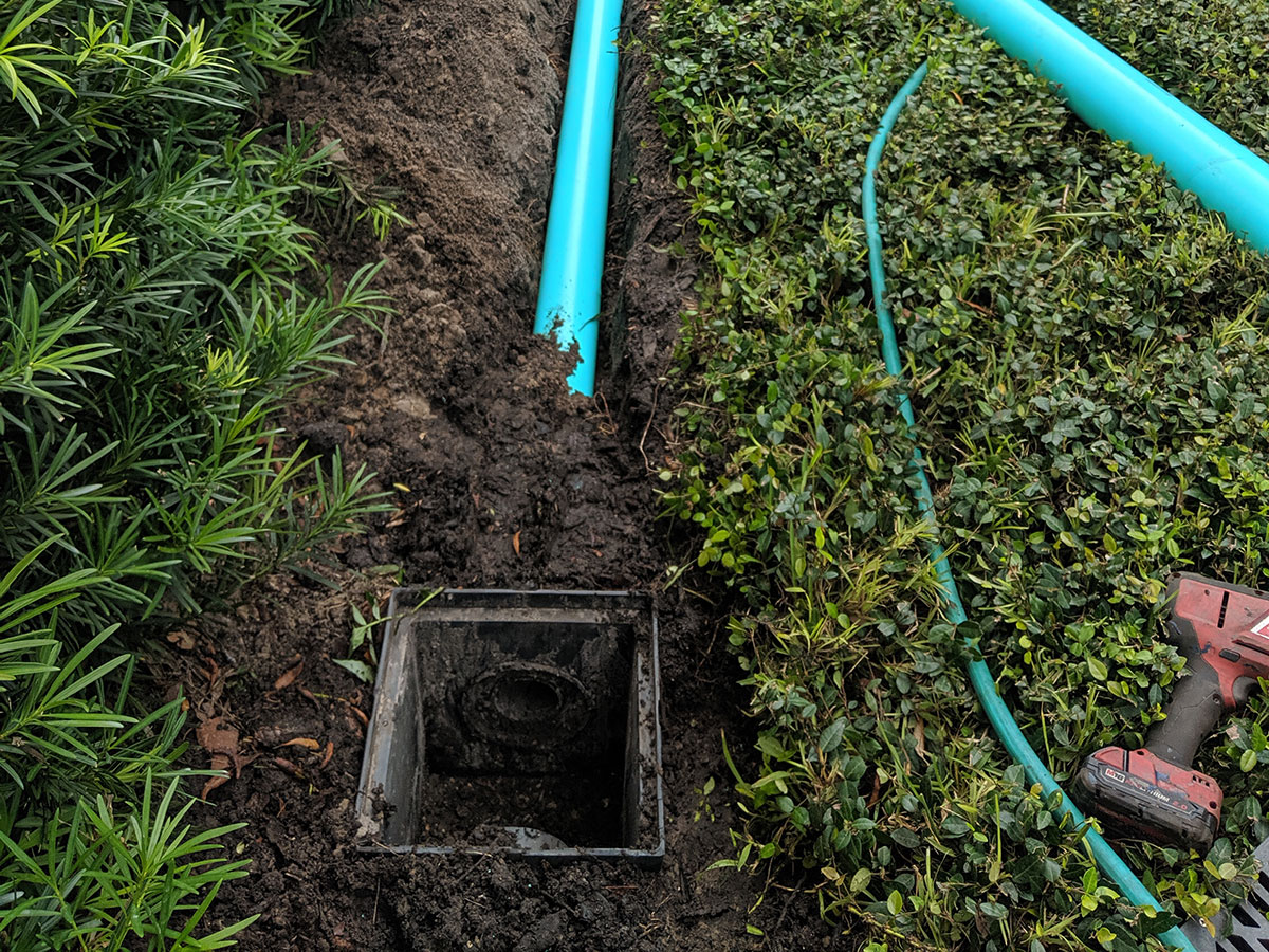 Landscape Drainage at Quality Services in Lake Mary, Florida