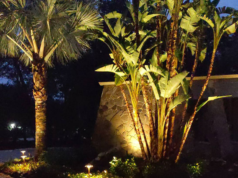 Landscape Lighting at Quality Services in Lake Mary Florida and the Orlando Area