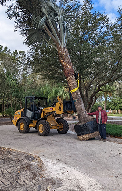 Landscape Installation at Quality Services in Lake Mary, Florida