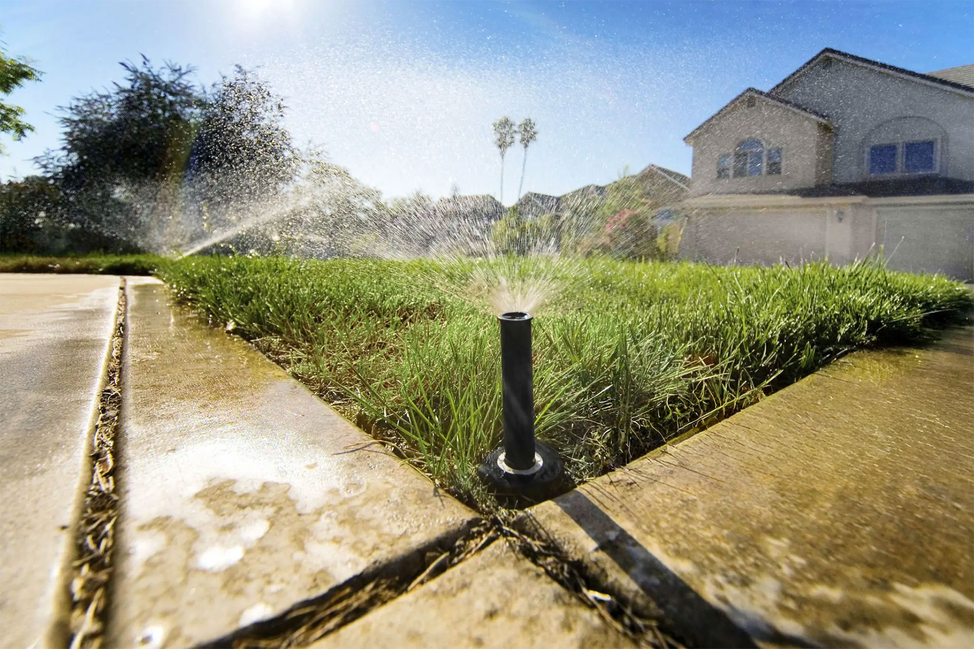 Sprinkler And Irrigation Services at Quality Services in Lake Mary Florida and the Orlando Area