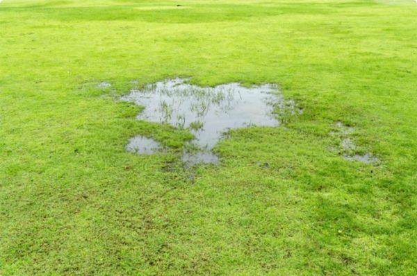 Chronic lawn saturation and standing water in a Lake Mary backyard requiring professional subsurface drainage correction.