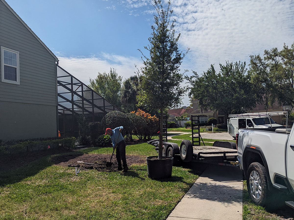 Expert Landscape Services in Lake Mary Florida and the Orlando FL Area by Quality Services