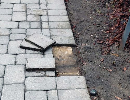 Paver Walkway Repair in Lake Mary, FL – Fixing a Failed Paver Overlay Walkway