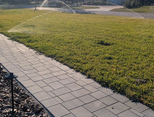 Modern Paver Walkway Installation in Lake Mary, FL