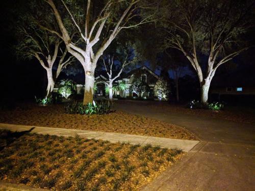 Landscape Lighting at Quality Services in Lake Mary, Florida