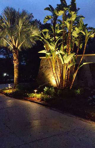 Landscape Lighting at Quality Services in Lake Mary, Florida