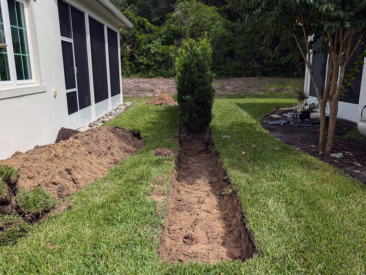 Tree installation during a landscape improvement project in Lake Mary, Florida